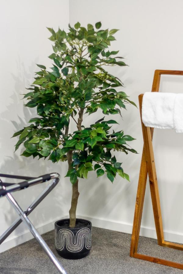 Cozy 3 Bedroom Near Hagley Park W/Garage 基督城 外观 照片